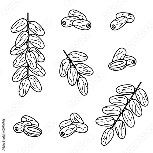 Dates fruit set. Collection icon dates fruit. Vector
