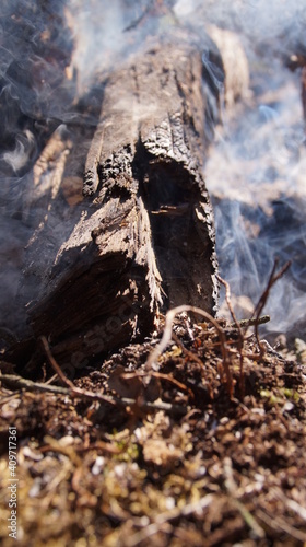 Wallpaper Mural bonfire, smoke Torontodigital.ca