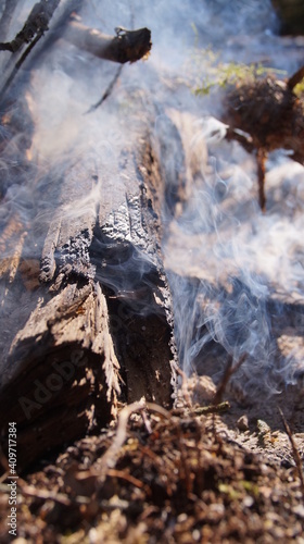 Wallpaper Mural bonfire, smoke Torontodigital.ca
