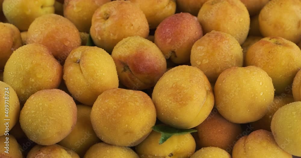 Vertical panorama. Ripe, juicy apricots with dew drops. Fruit background. Vertical panorama. Ripe, juicy apricots with dew drops. Fruit background.