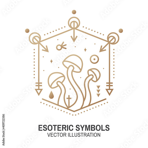 Esoteric symbols. Vector. Thin line geometric badge. Outline icon for alchemy or sacred geometry. Mystic and magic design with alchemy symbols and mushrooms.