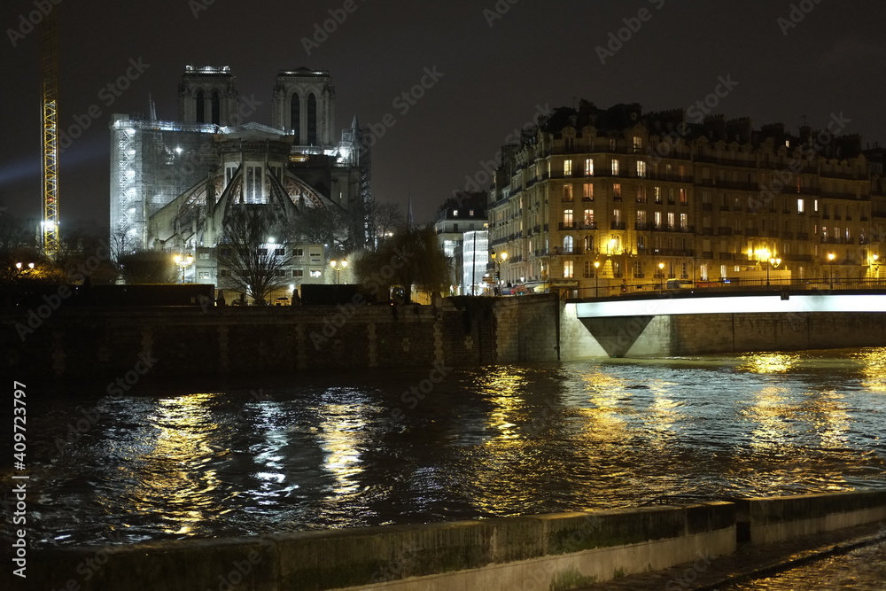 Notre Dame de Paris and the Seine river during the night. 31th january 2021