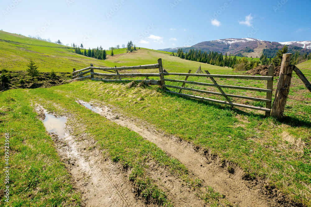 Fototapeta premium rural landscape in mountains. wooden fence along the path through grassy fields on rolling hills. snow capped ridge in the distance beneath a blue sky. beautiful nature scenery on a bright sunny day