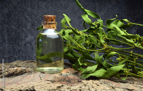 Mistletoe natural oil alternative medicine
