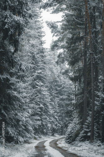 Winterliche Landschaft in einem Wald im Winter bei Schneefall