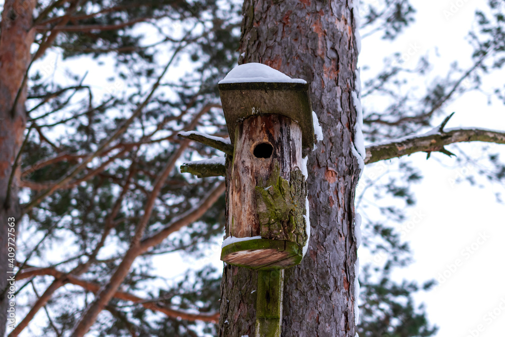 Homemade wooden nesting box covered with snow hanging on the tree in winter forest.