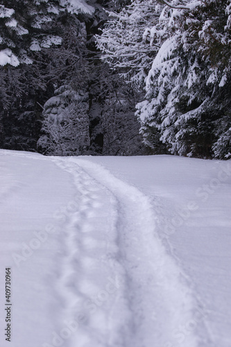 Lonely path in the snow . Footprints in the clearing. Tranquility  scene. © bajla