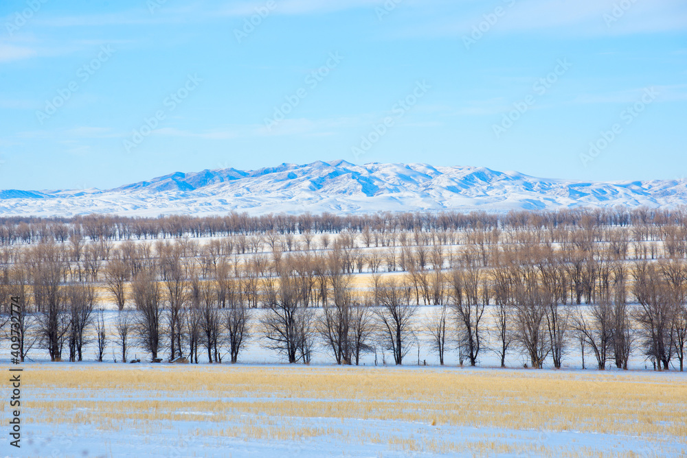 Winter landscape on a frosty day in Altyn-Emel, Kazakhstan Winter landscape on a frosty day in Altyn-Emel, Kazakhstan