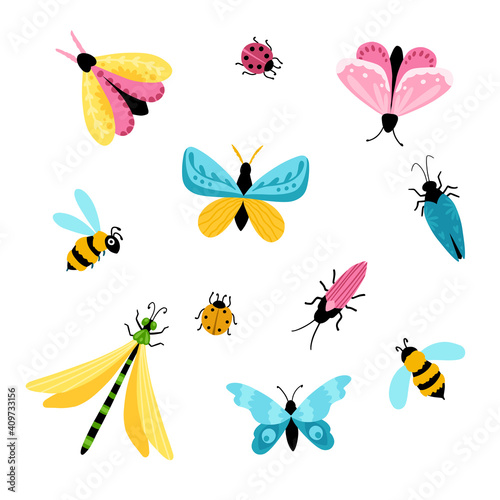 Insects set. Colorful hand-drawn butterflies, dragonfly and beetles in a simple childish cartoon style. Isolated over white background © Світлана Харчук