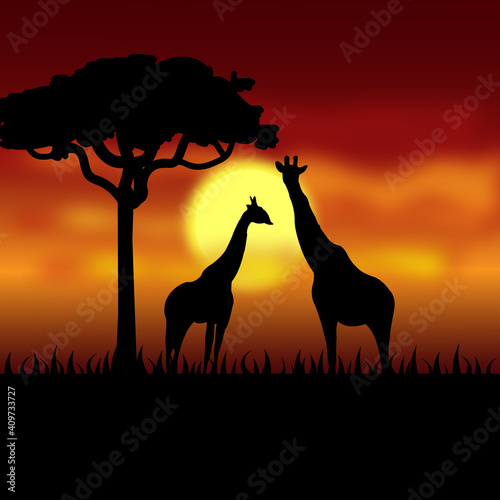 giraffes in africa at night