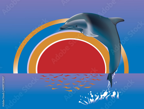 Dolphin leap