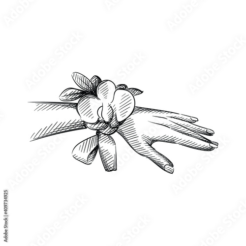 Hand drawn sketch of boutonniere on hand on a white background. Wedding theme. Celebration and festivities. Accessories for wedding