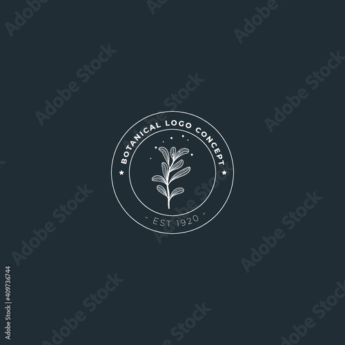 Mistletoe botanical minimal line art hand drawn logo