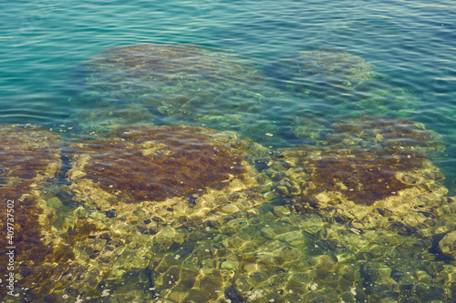 Fototapeta Naklejka Na Ścianę i Meble -  The rocky coast of the mediterranean sea with turquoise water as a natural background.