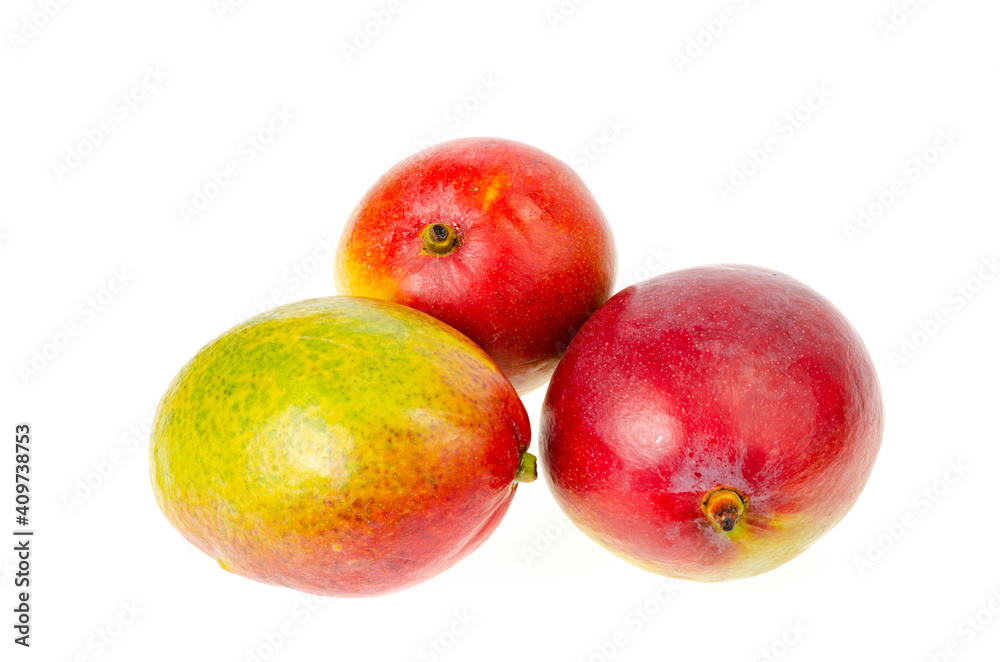 Ripe, juicy, sweet red-green mango. Exotic fruits isolated on white. Studio Photo Ripe, juicy, sweet red-green mango. Exotic fruits isolated on white. Studio Photo