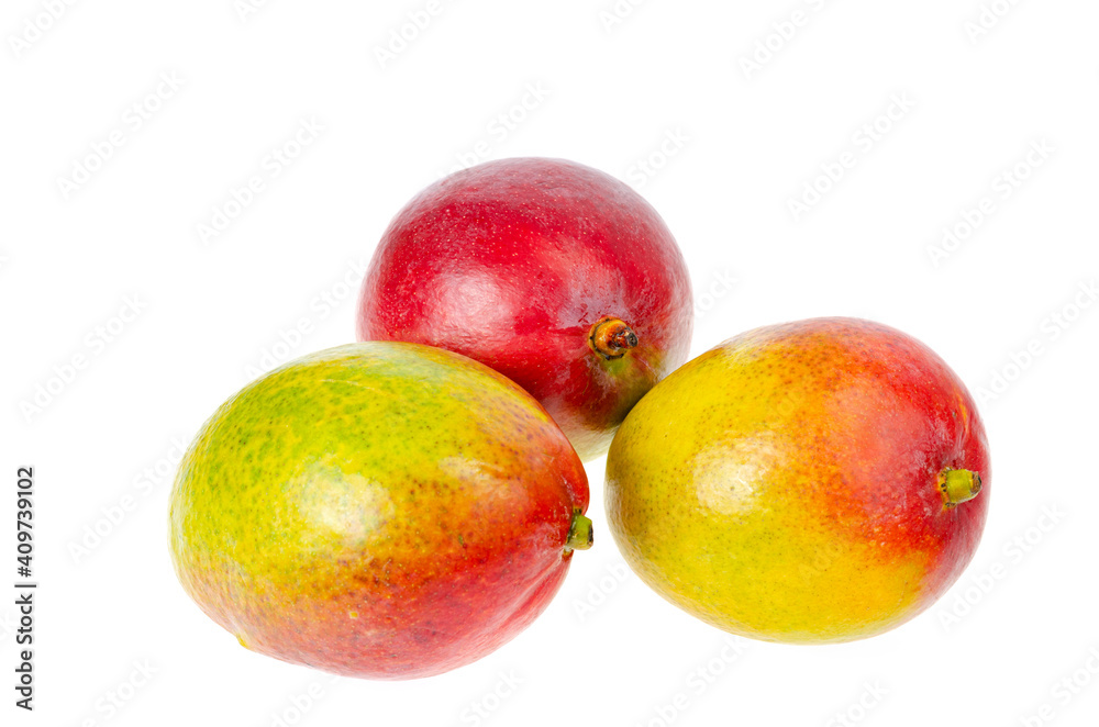 Ripe, juicy, sweet red-green mango. Exotic fruits isolated on white. Studio Photo Ripe, juicy, sweet red-green mango. Exotic fruits isolated on white. Studio Photo