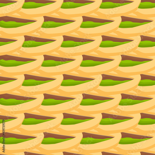 Illustration on theme big pattern identical types pistachio