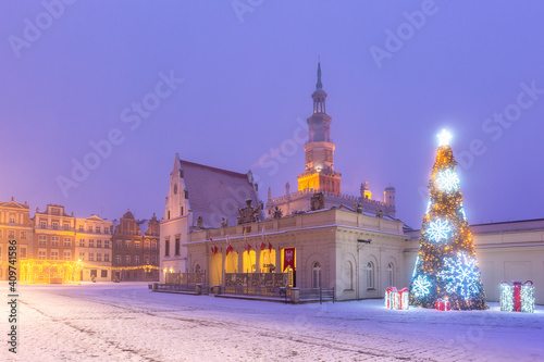 Poznan Town Hall and Christmas tree on Old Market Square in Old Town in the snowy night, Poznan, Poland