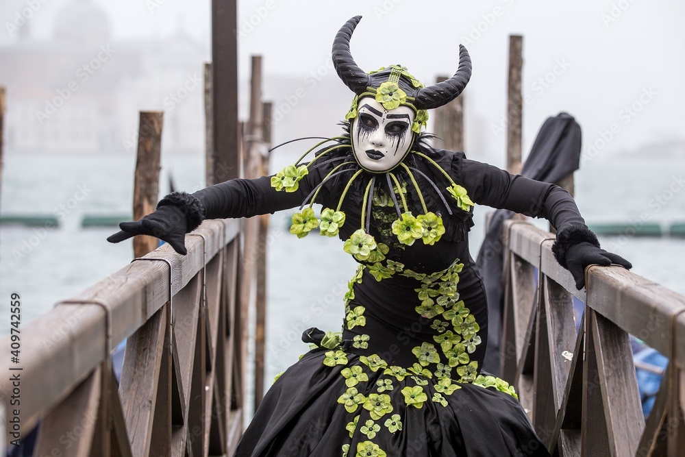 Obraz premium Mask in carnival of Venice