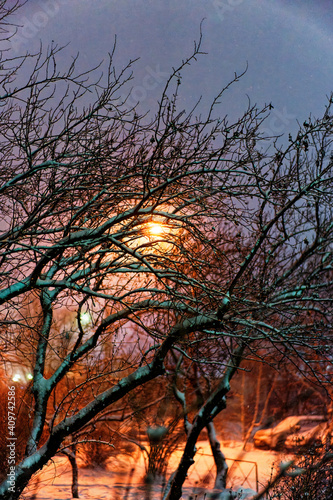 Beautiful night in the park