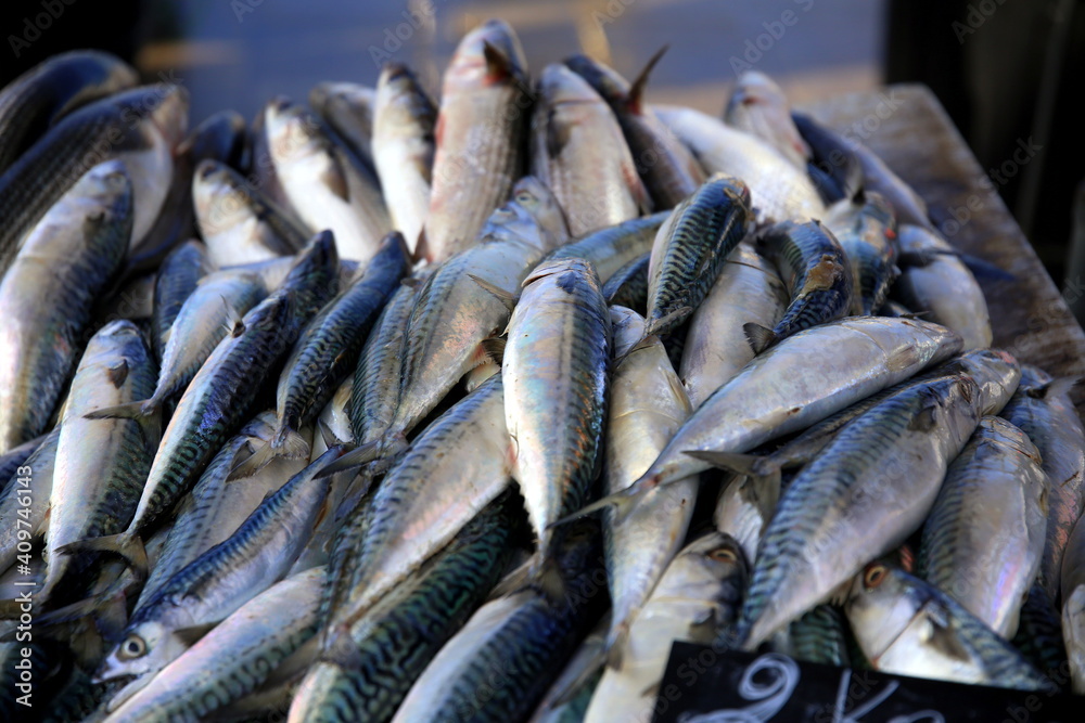 Obraz premium Fish for sale on the market bench, Le Vieux Port, Marseille, France