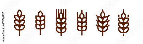 Barley spike or corn ear. Bakery, bread or agriculture logo concept. photo