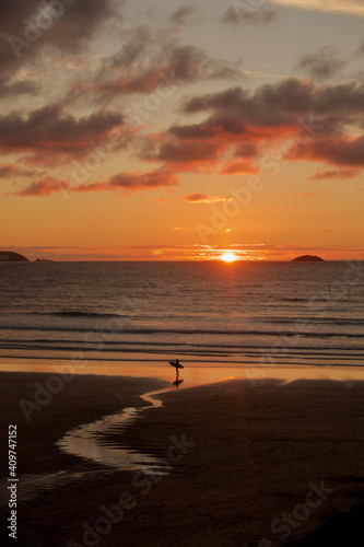 Surfer looking out to sea at sunset in Cornwall. Beach with surfer holding surfboard in Summer. Cornish beach surfer.  © Emily