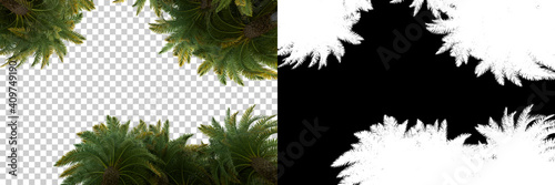 Palm trees isolated with mask. Image useful for banners, posters or photo man...