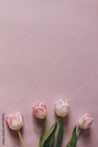 Fototapeta Naklejka Na Ścianę i Meble -  Natural styled stock photo. Feminine Easter, spring composition with tulips on pink table, wall background. Floral frame, border. Flat lay, top view. Vertical picture for blog, web banner.