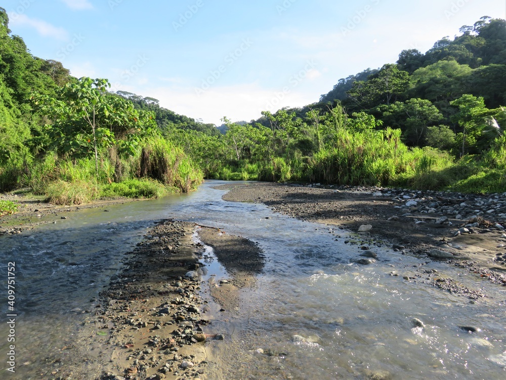 river in the mountains in a jungle of Costa Rica river in the mountains in a jungle of Costa Rica