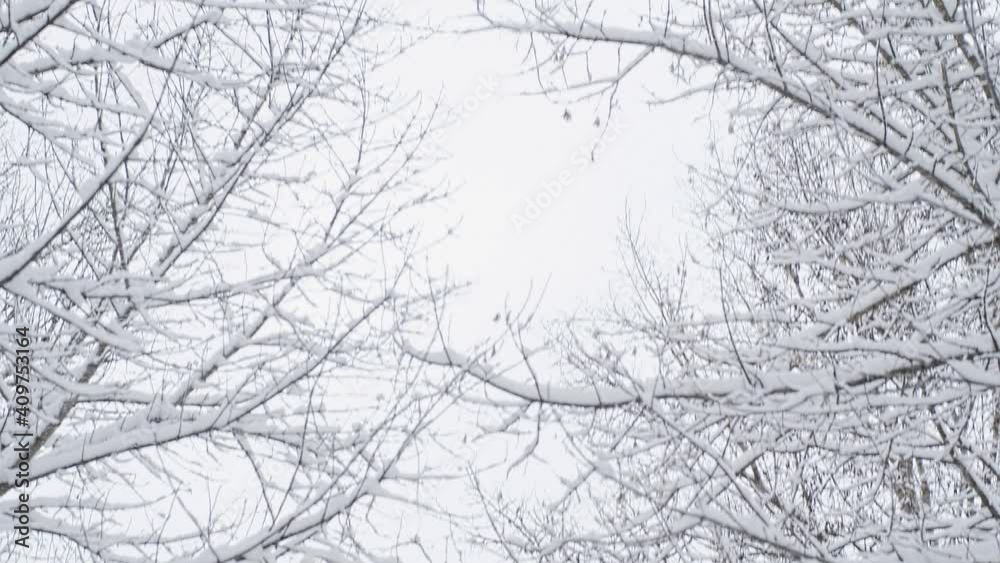 Winter snowy landscape. Middle Europe Belarussian nature Winter snowy landscape. Middle Europe Belarussian nature