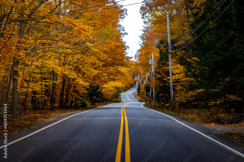 Fototapeta premium Road In New England Fall Foliage