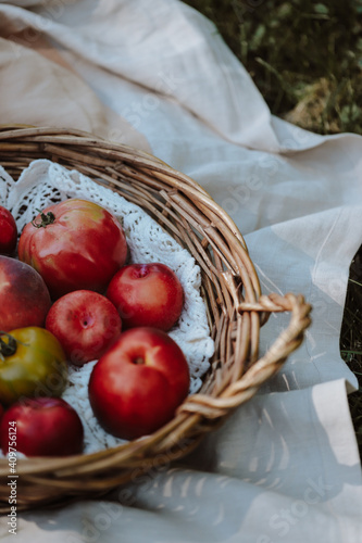 apples and fruit in a picnic basket summertime august seasonal fruits