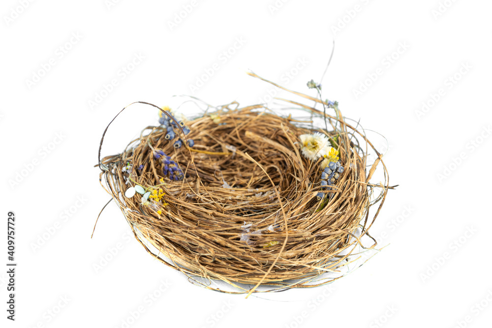 bird Nest on white background. Studio Photo bird Nest on white background. Studio Photo