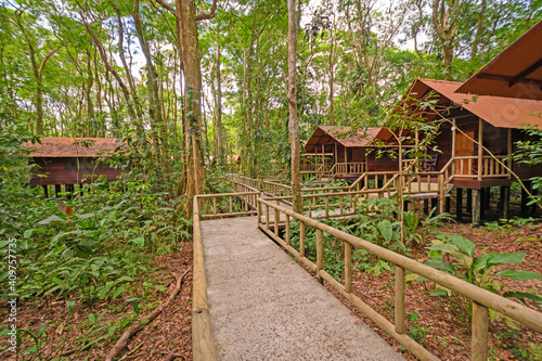 Tourist Cabins in a Tropical Rain Forest © wildnerdpix
