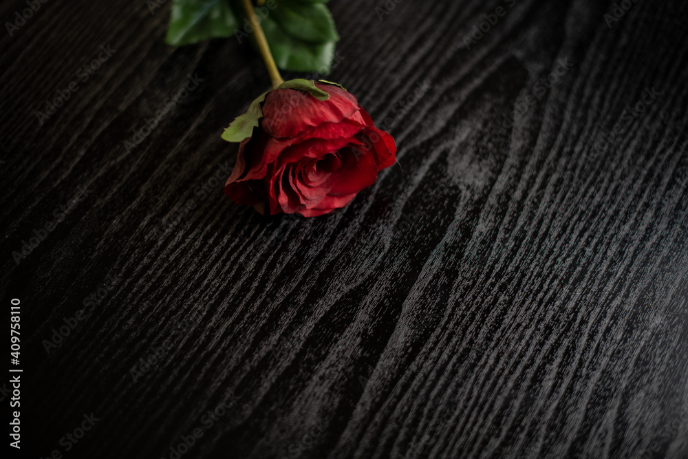 A red valentine's day rose lies on a black wooden table - a symbol of eternal love and affection

