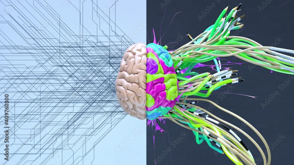 Creative left brain functions and right analytic hemisphere. 3d art color animation background