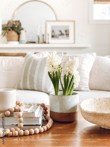 Interior still life in a brightdid century, bohemian living room featuring white hyacinths on a coffee table.