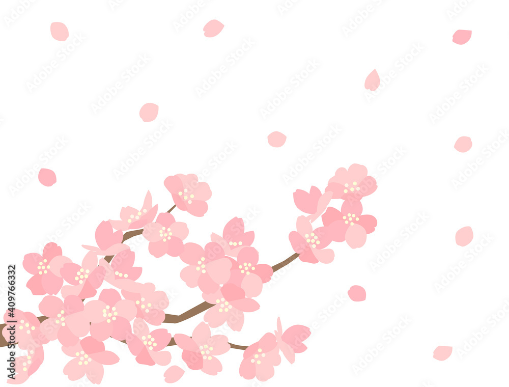 さくら102　桜
