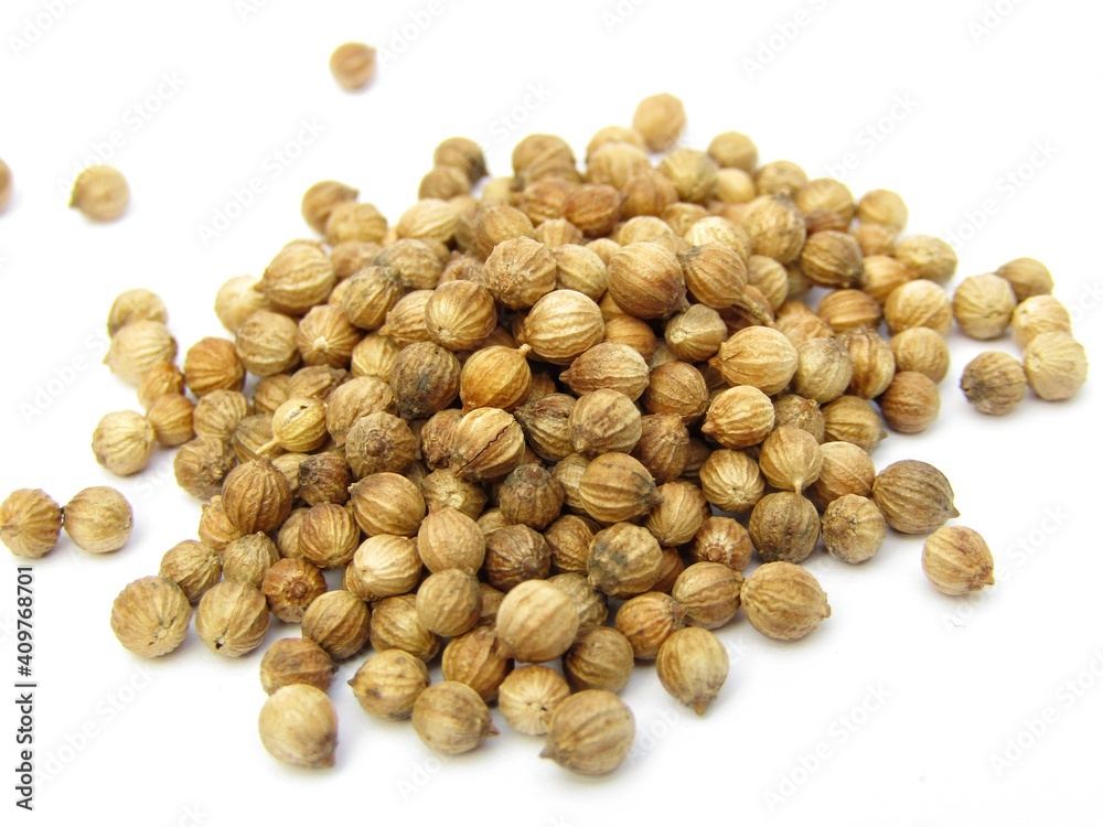 dried coriander seeds isolated on white background dried coriander seeds isolated on white background