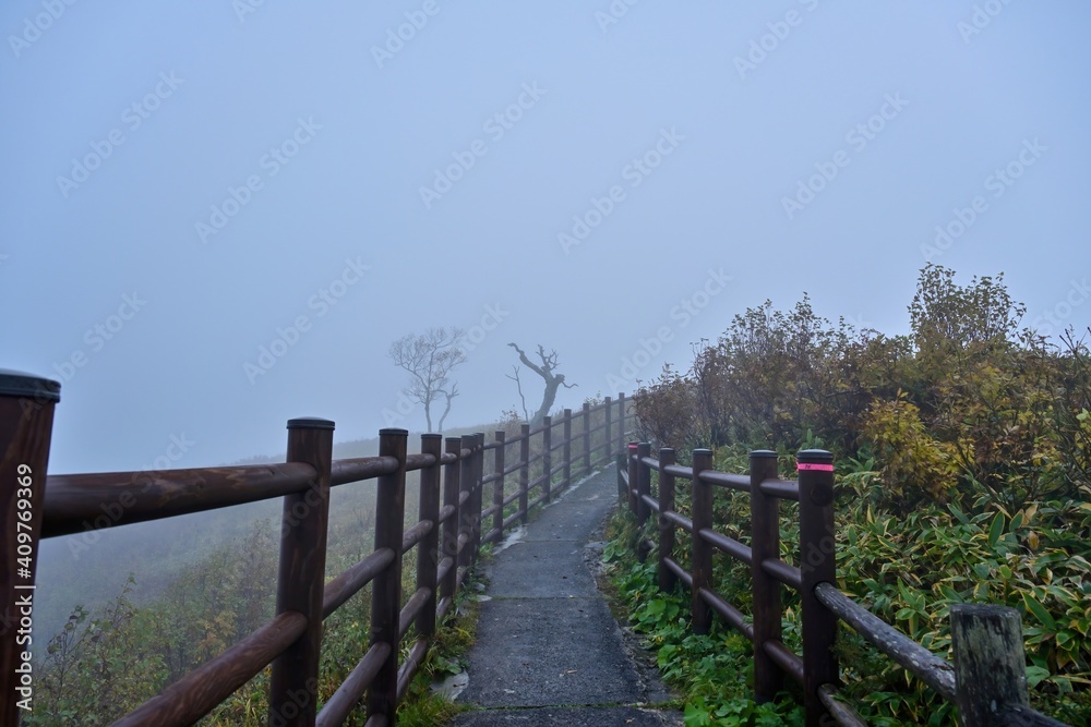 霧に包まれた摩周湖遊歩道の情景＠北海道