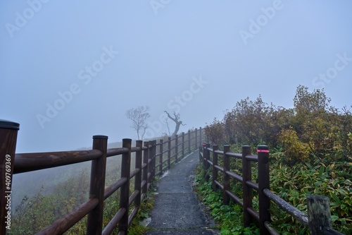 霧に包まれた摩周湖遊歩道の情景＠北海道