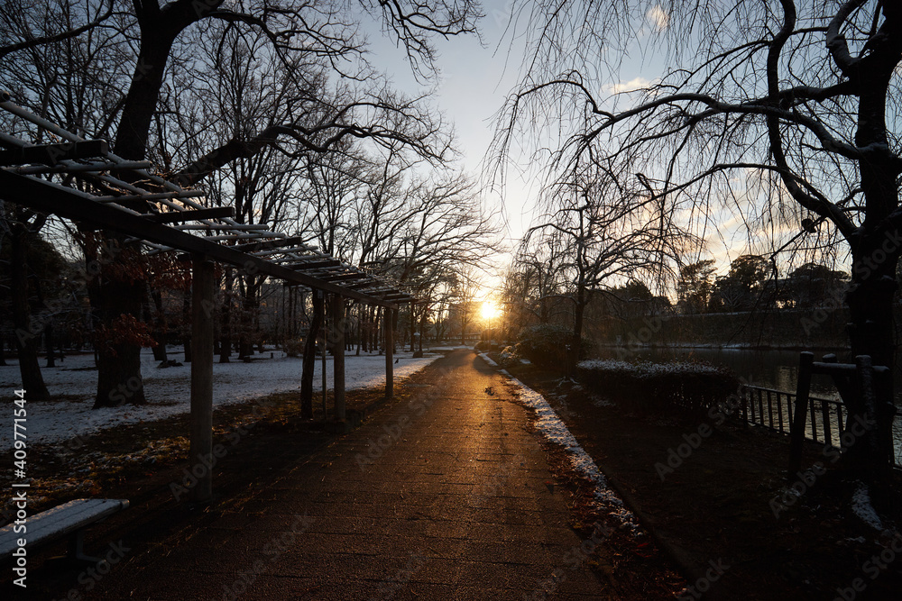 冬の朝日の光と公園の静かな風景