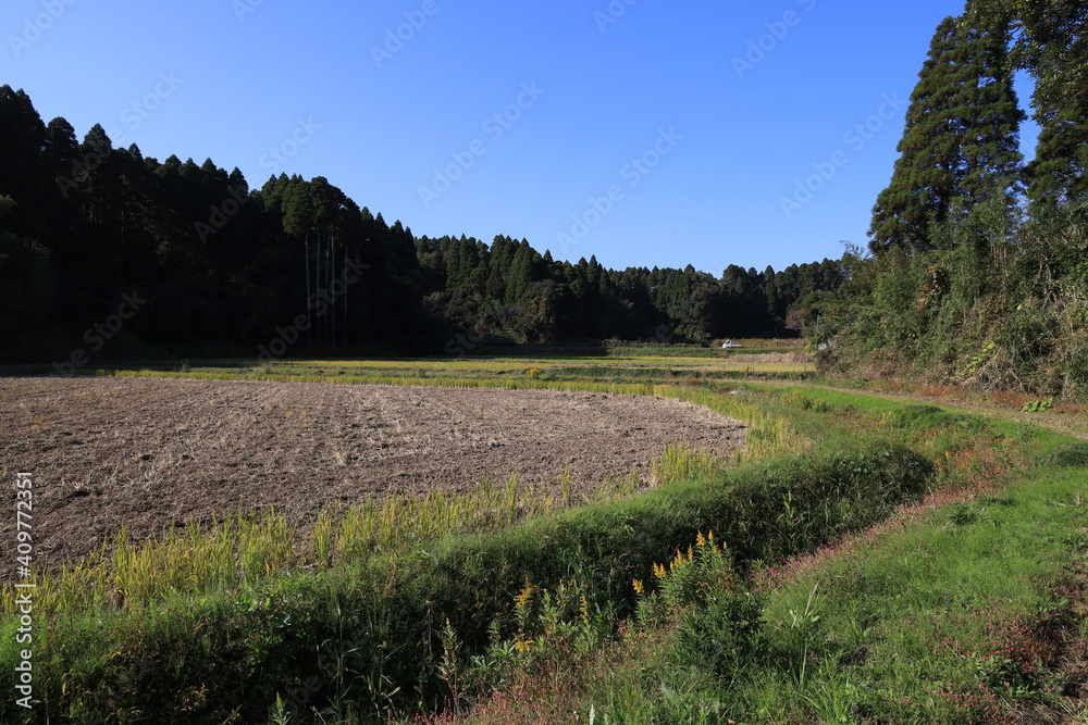 Fototapeta premium 冬の田園風景