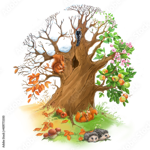 Tree four seasons, summer, winter, spring, autumn with animals on white background