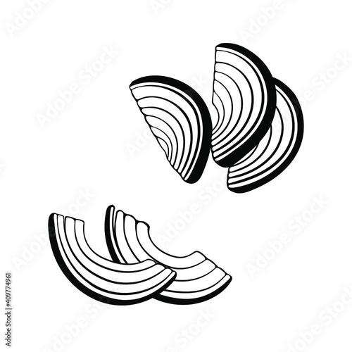 Vector sketch of half cut onion slices. Monochrome outline drawing.