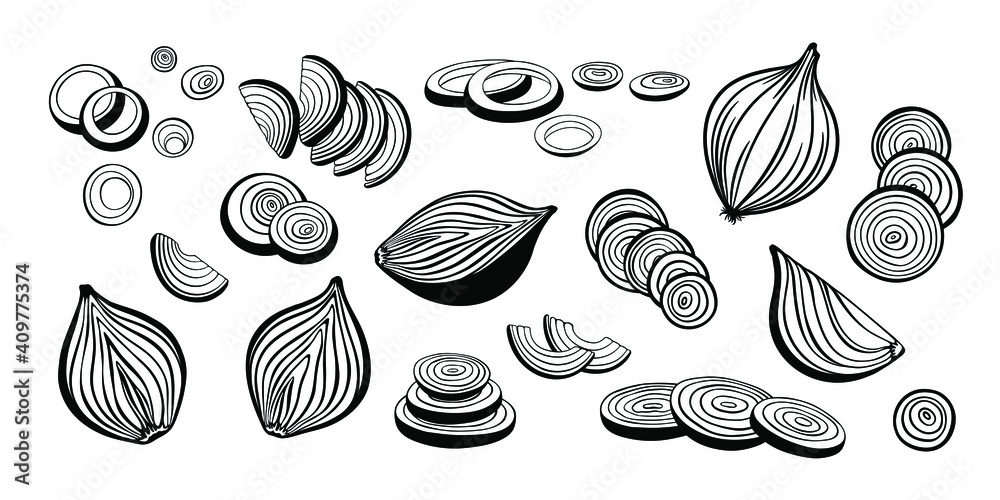 Big vector set of onion collection. Onion slices, rings and cut in half onion bulb. Sketch and monochrome outline drawing.