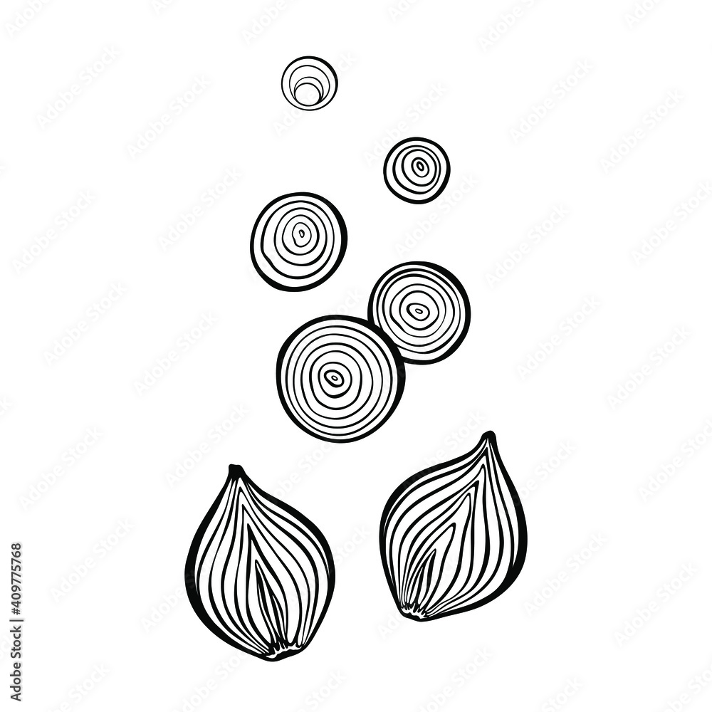 Falling onion slices and cut in half onion bulb. Vector outline drawing