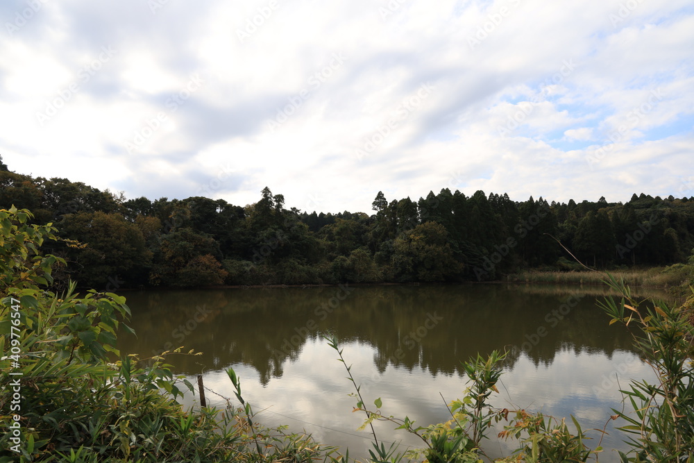Fototapeta premium 田舎の池