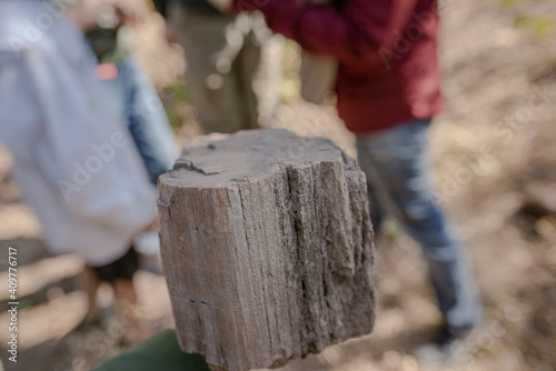 Wallpaper Mural Vertical Petrified Wood in Petrified Forest at Thailand Torontodigital.ca